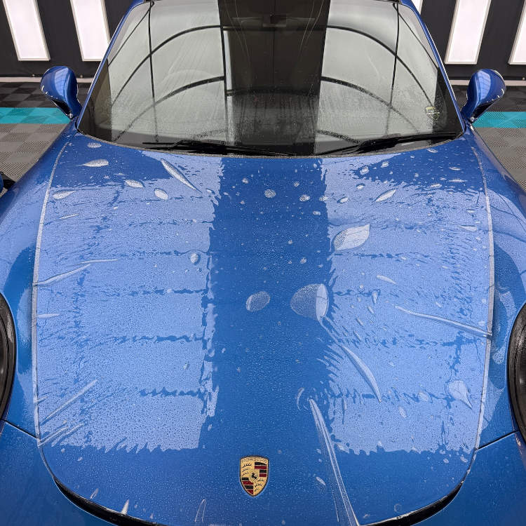 What is PPF in Swansea